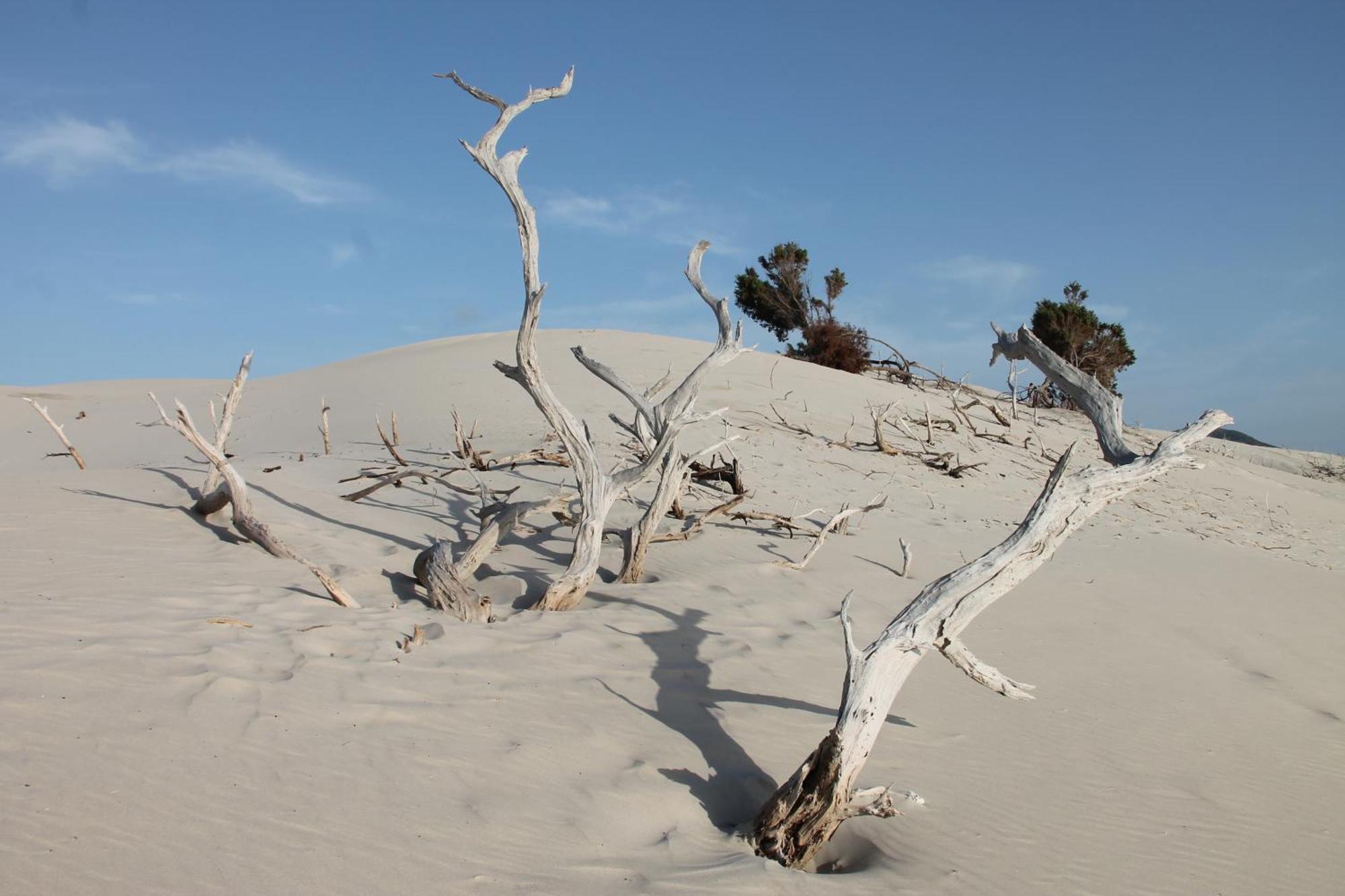 Rustico Porto Pino 30 Mt Dalla Spiaggia Esterno foto